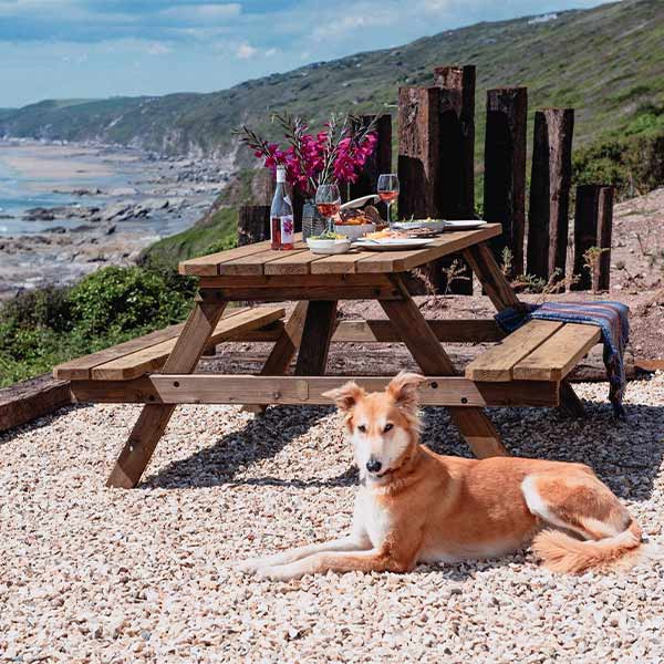 Dog friendly escapes with sea views